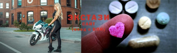 таблы Гусев