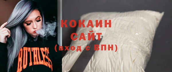таблы Гусев