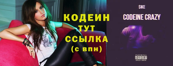 таблы Гусев