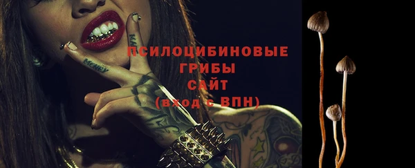 винт Гусь-Хрустальный