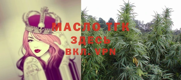 винт Гусь-Хрустальный