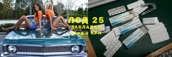 таблы Гусев