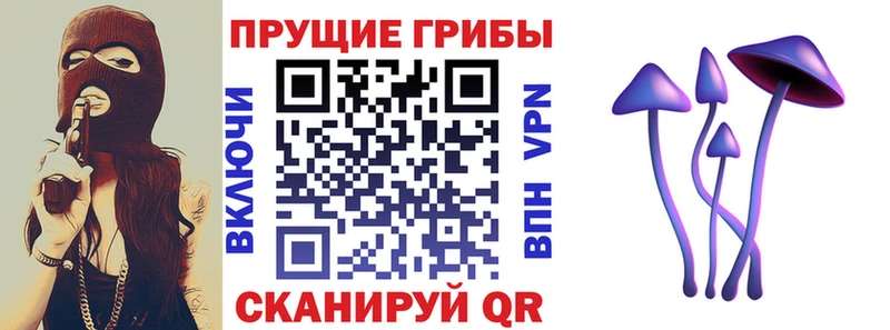 Псилоцибиновые грибы Cubensis  Купить закладки  Касли 